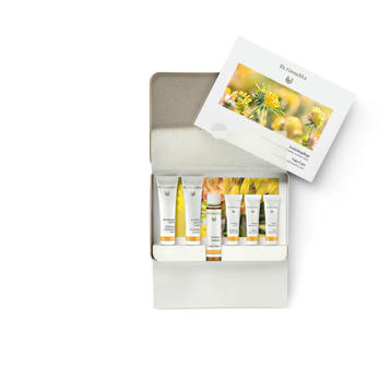 Dr.Hauschka Набор пробников для нормальной кожи лица (Gesichtspflegeset)